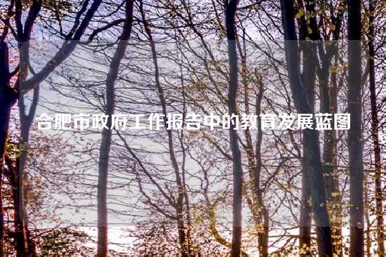 合肥市政府工作报告中的教育发展蓝图